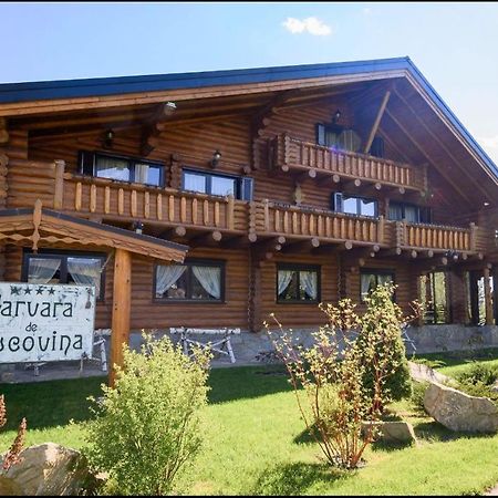 Pensiunea Varvara de Bucovina Gura Humorului Exterior foto