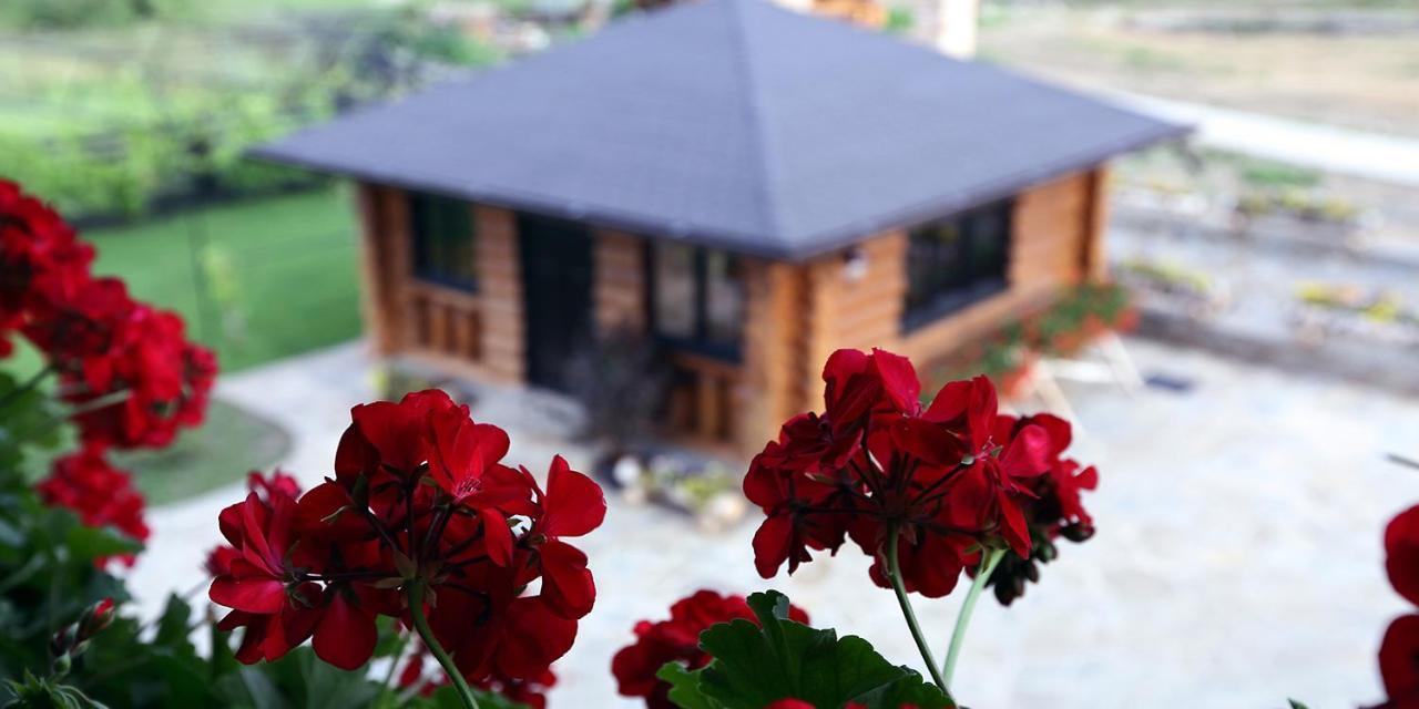 Pensiunea Varvara de Bucovina Gura Humorului Exterior foto